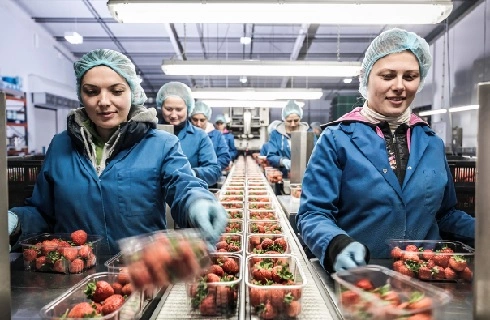 කර්මාන්තශාලා ඇසුරුම් සේවක